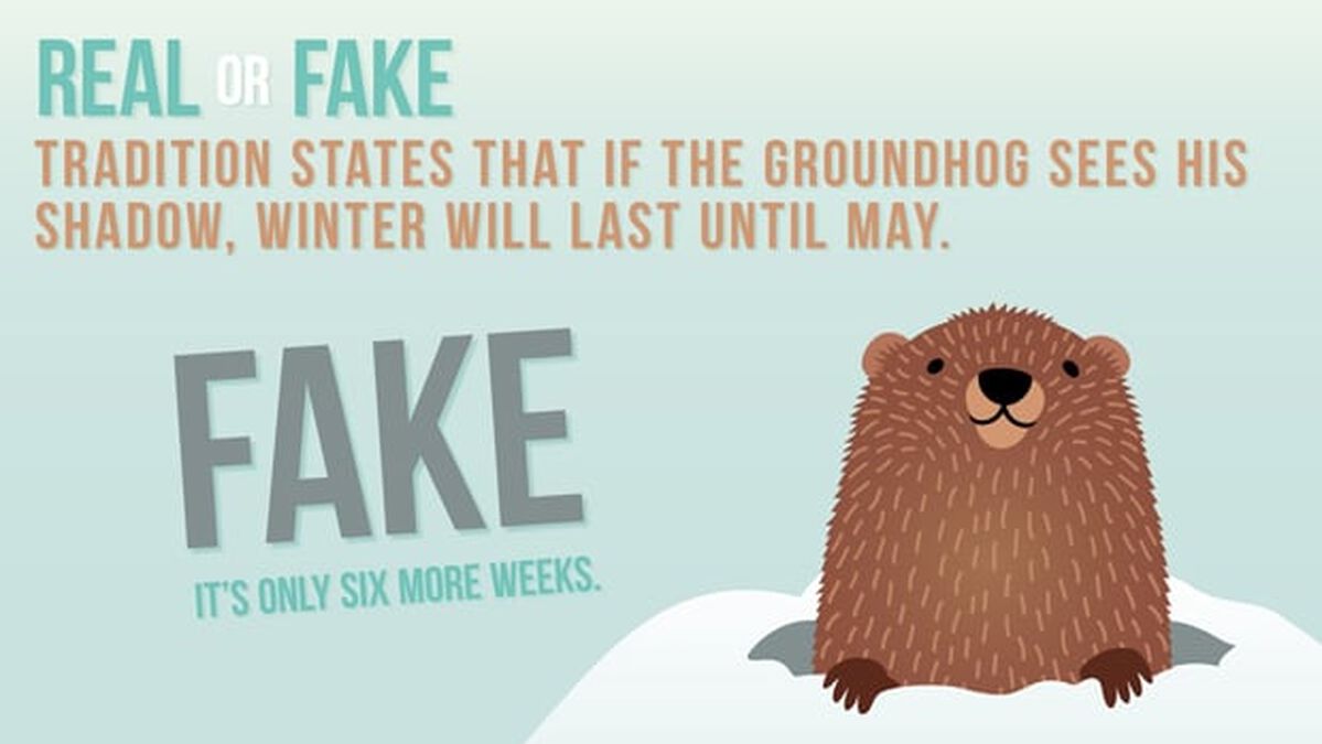 REAL OR FAKE: Groundhog Day Edition image number null