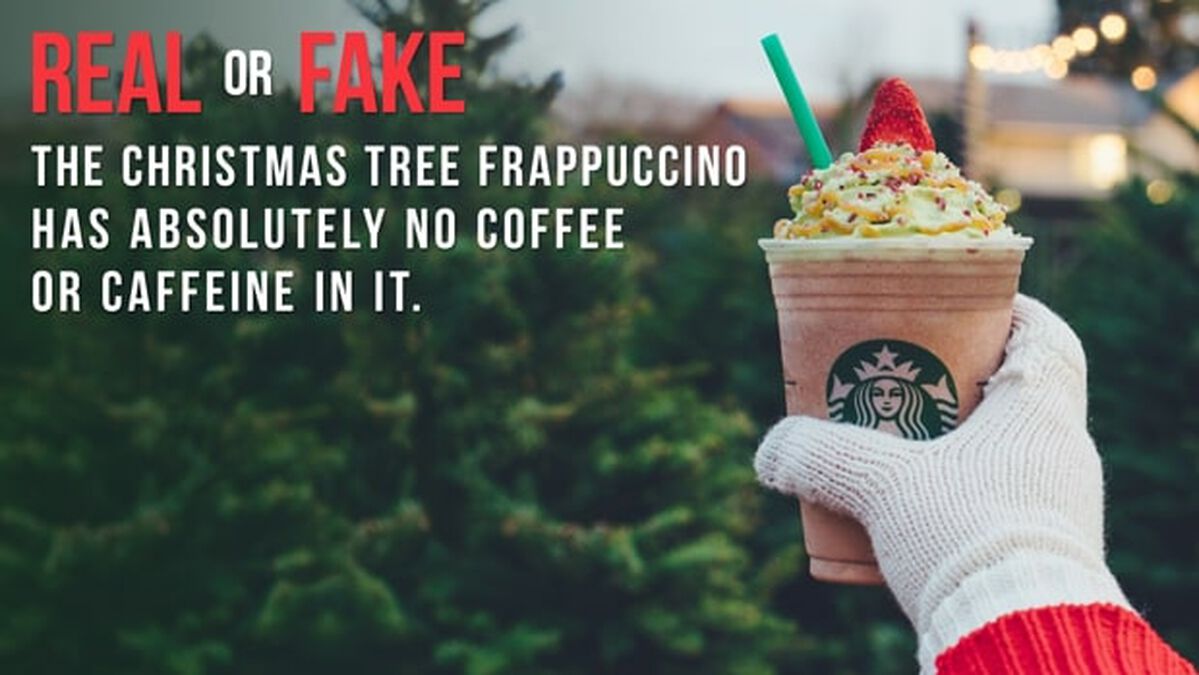 Real or Fake: Christmas Tree Frappuccino Edition image number null