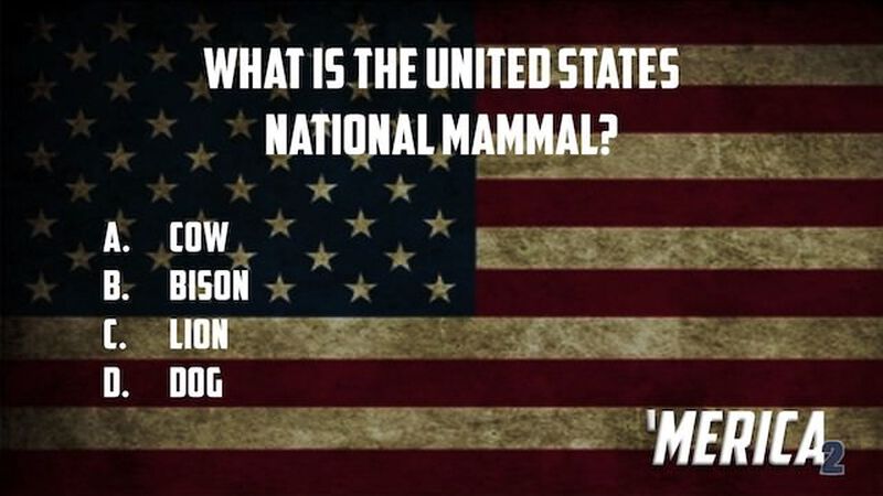 'Merica Trivia Volume 2