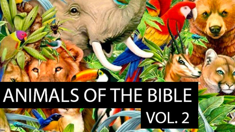 Animals in the Bible: Volume 2