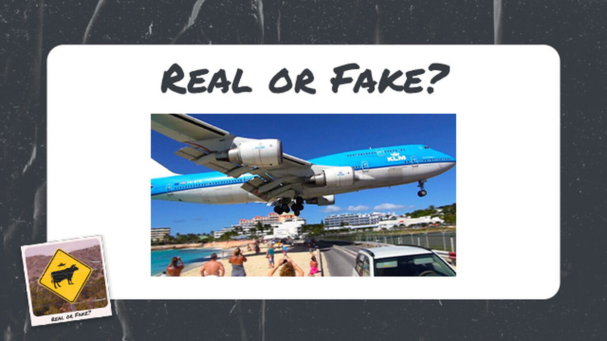Real or Fake Volume 2 image number null