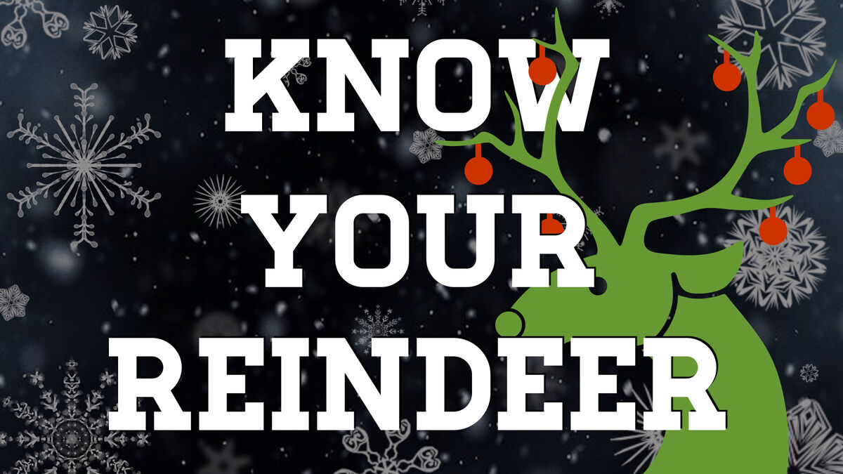 Reindeer Games Bundle image number null