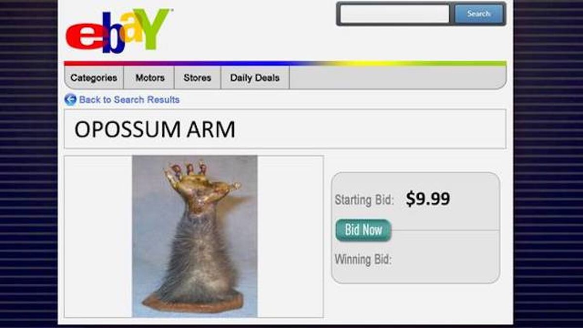 Sold on eBay? Volume 2 image number null