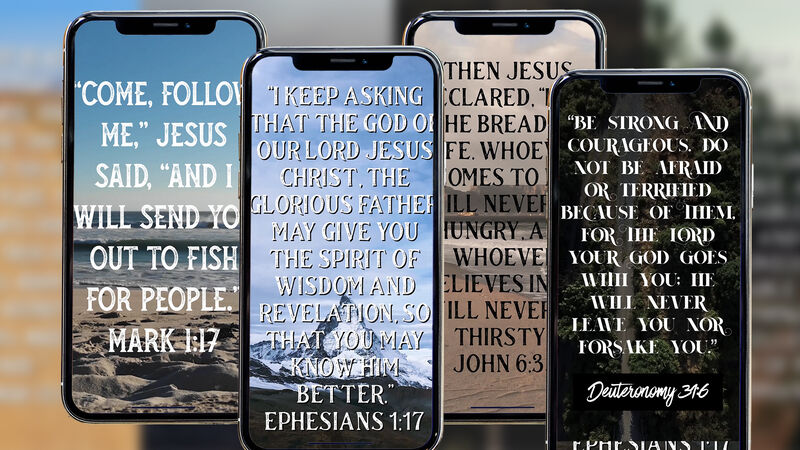 31 Verse of the Day Social Media Stories