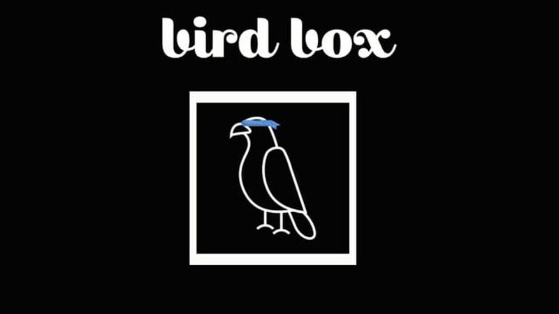 Bird Box Challenge
