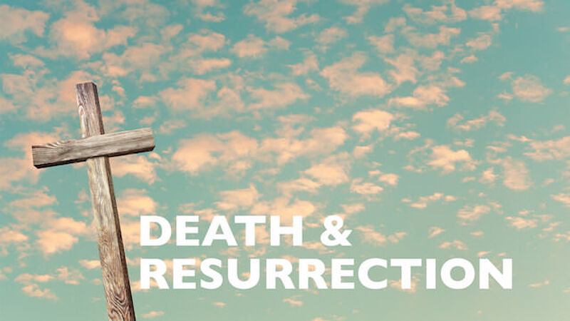 Viva! Death and Resurrection