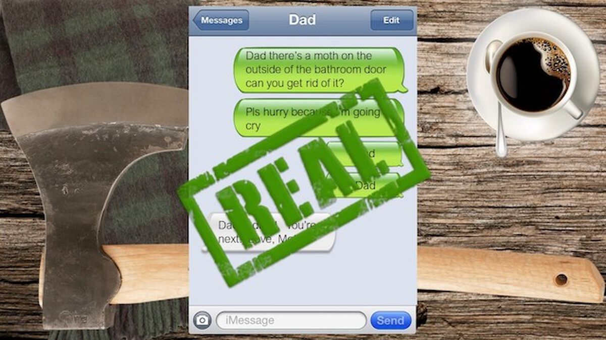 Dad Texts Real or Fake image number null