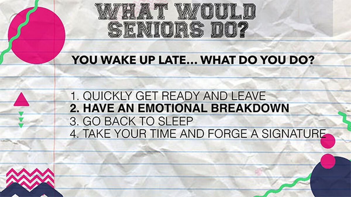 What Would Seniors Do? image number null