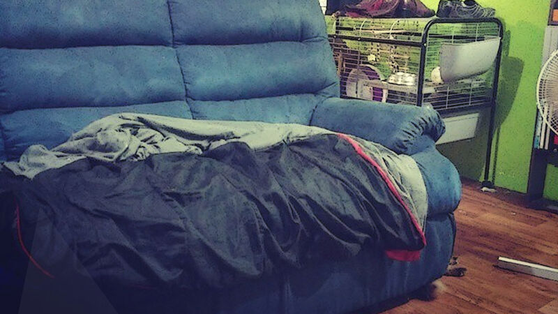 Can You Find the Cat?