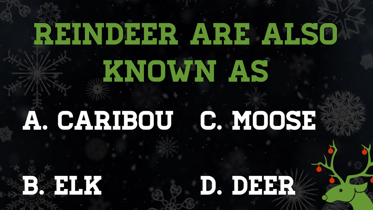 Reindeer Games Bundle image number null