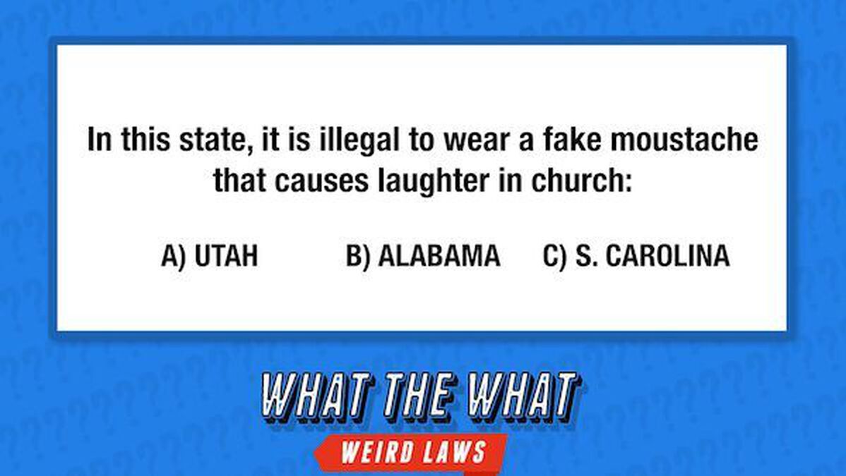 What the What? (Weird Laws) image number null