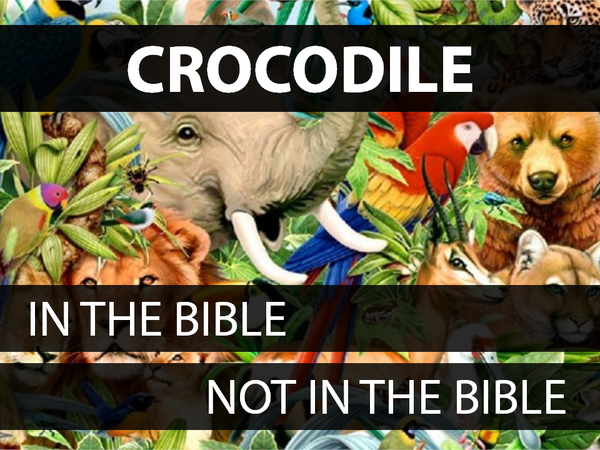 Animals in the Bible: Volume 2