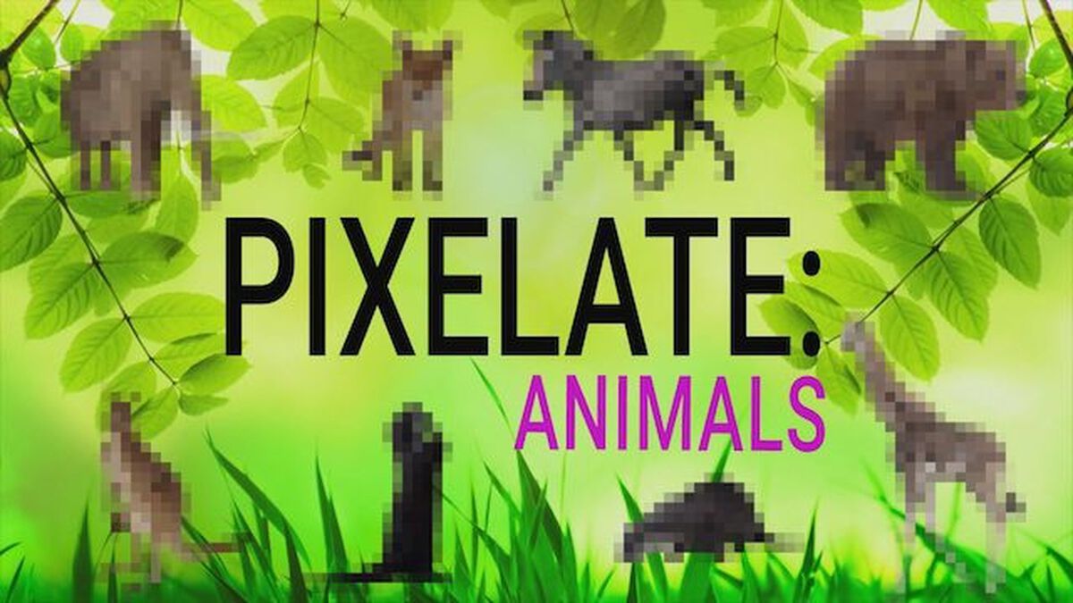 Pixelate Sidekick Bundle image number null
