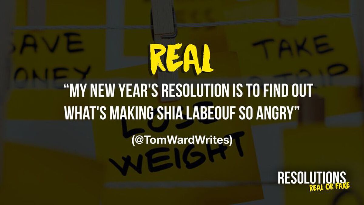 Resolutions: Real or Fake image number null