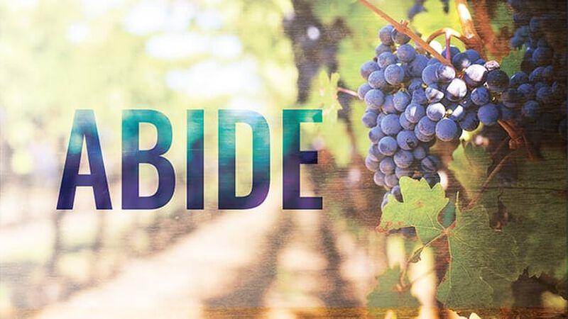 Abide