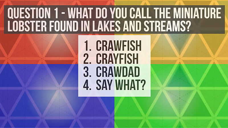 Four Corners: Say What?