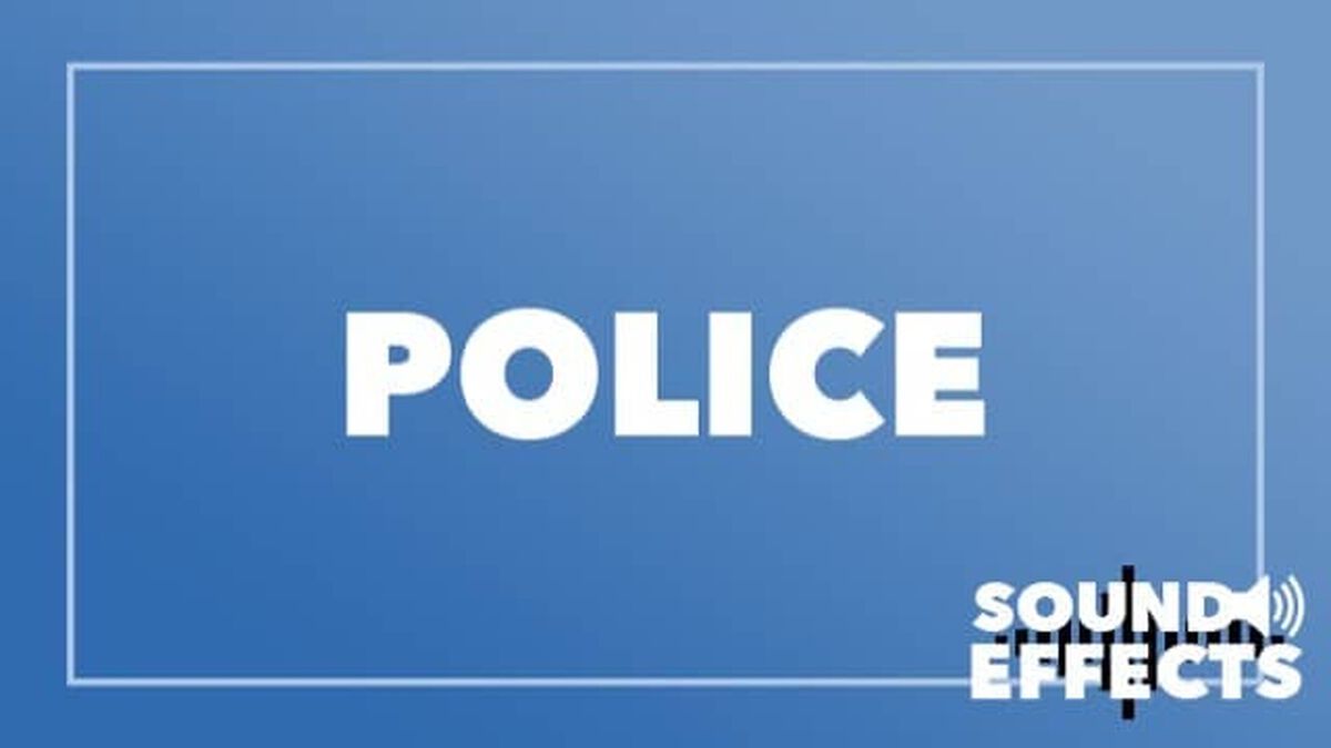 Sound Effects - Volume 2 image number null