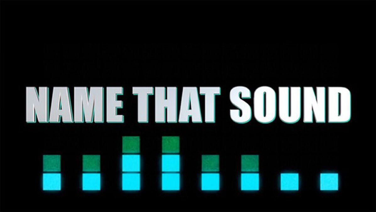 Name That Sound image number null