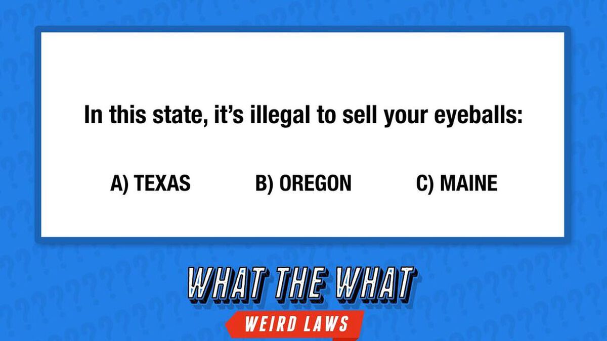 What the What? (Weird Laws) image number null