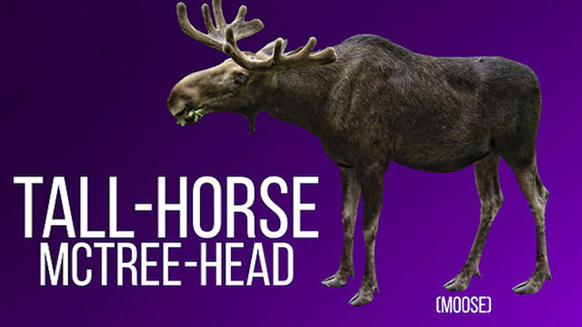 The Internet Names Animals: Volume 2 image number null