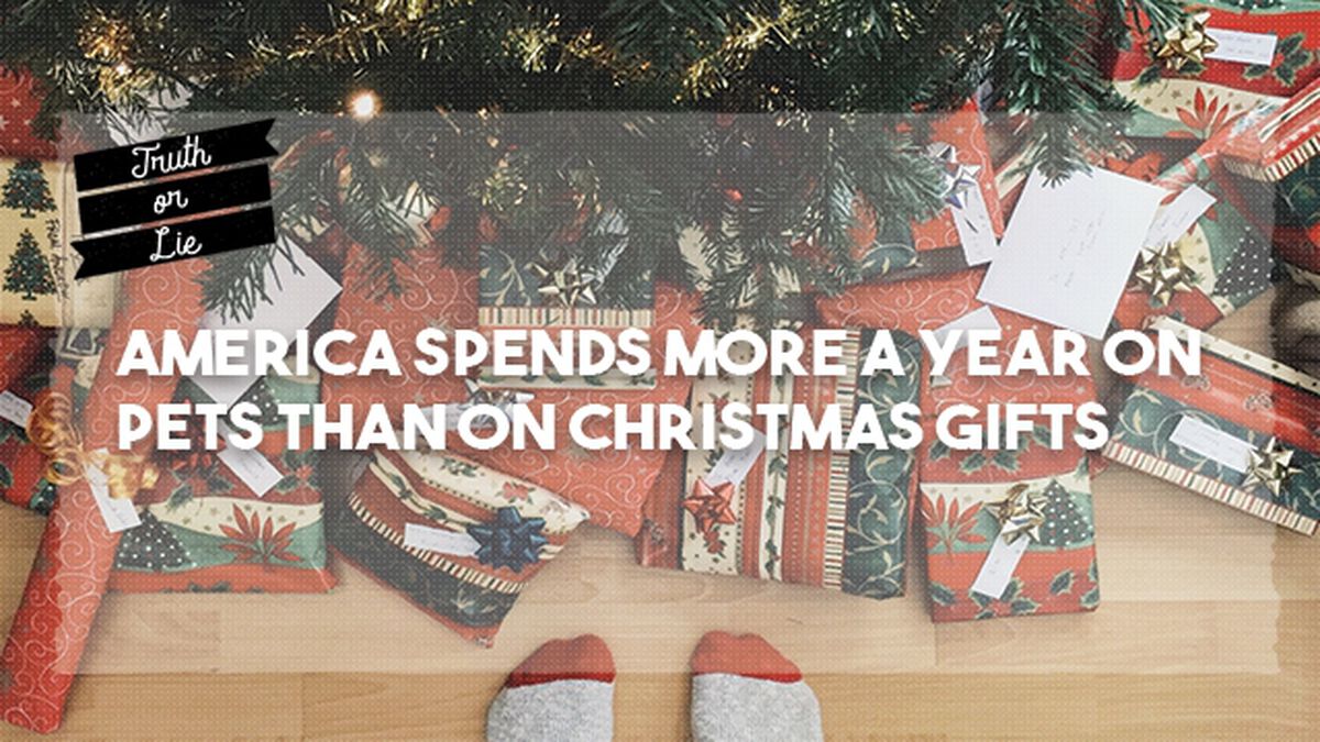 Truth or Lie - Christmas Edition image number null