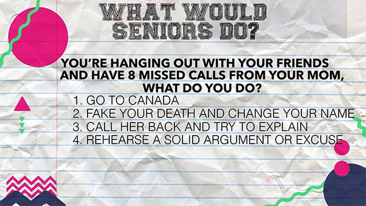 What Would Seniors Do? image number null