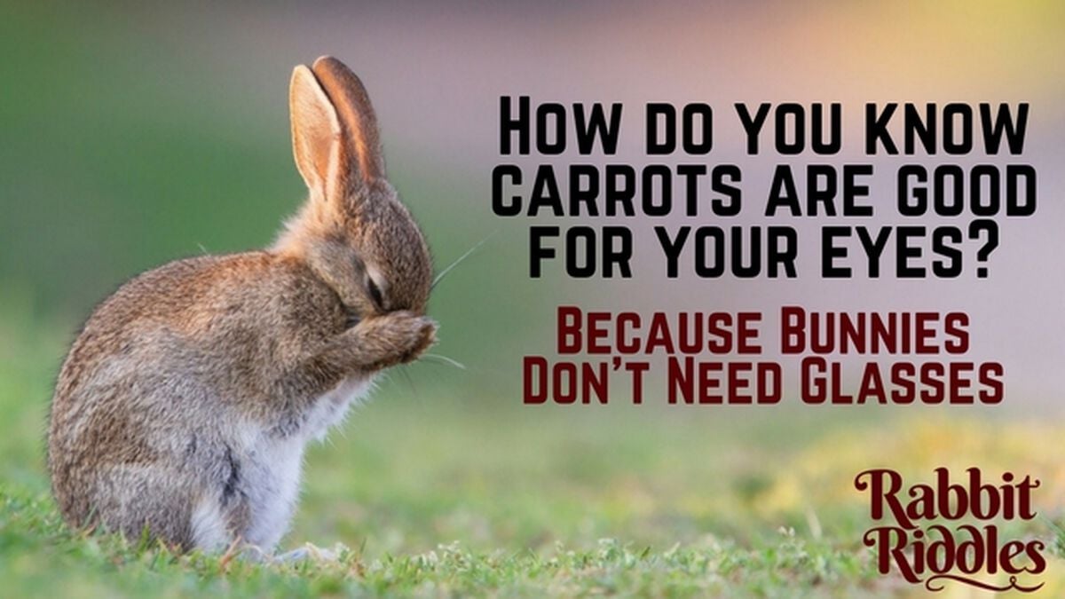 Rabbit Riddles image number null