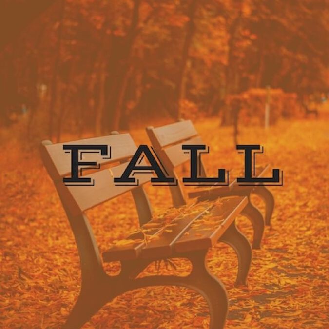Fantastic Fall Insta Pack image number null