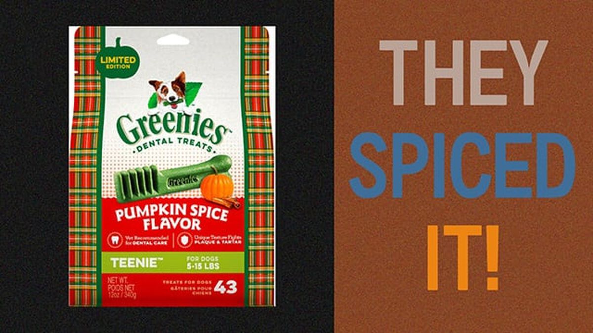 Did They Pumpkin Spice It? Volume 4 image number null