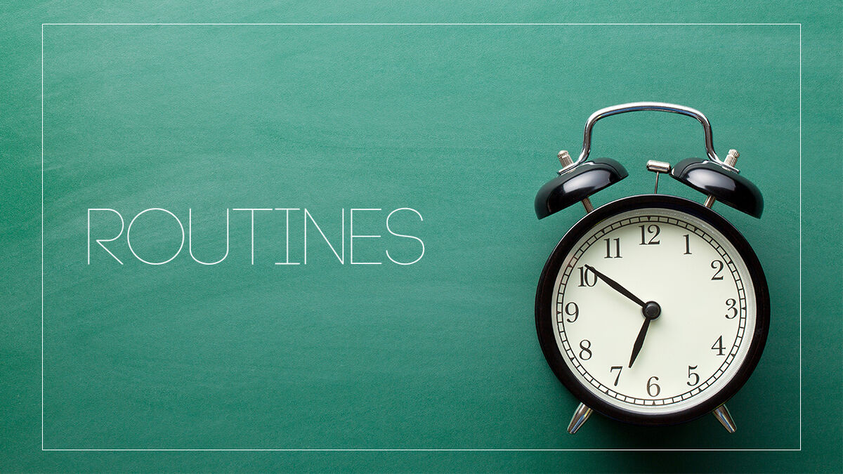 VIVA: Routines image number null