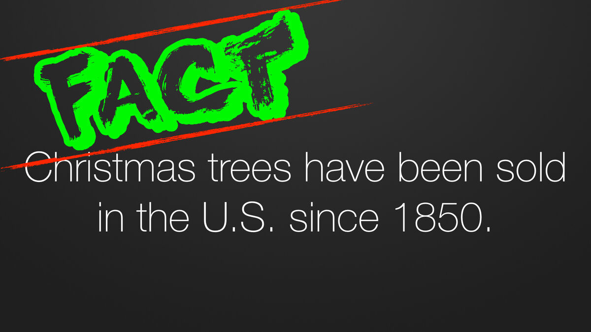Reindeer Games Bundle image number null