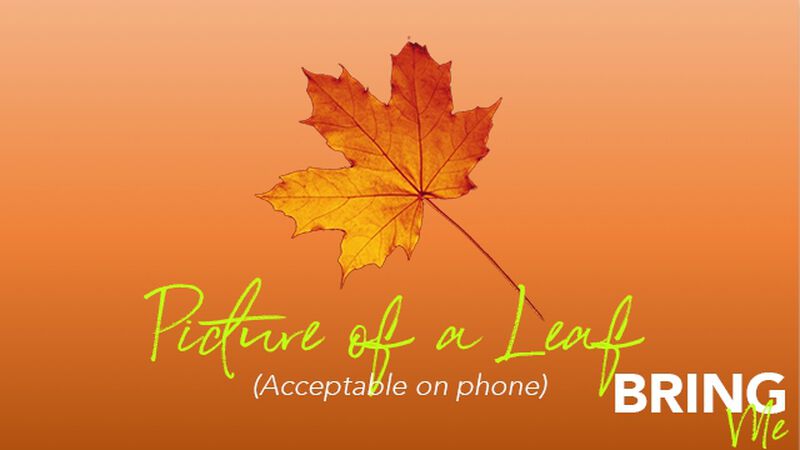 Bring Me: Fall Edition