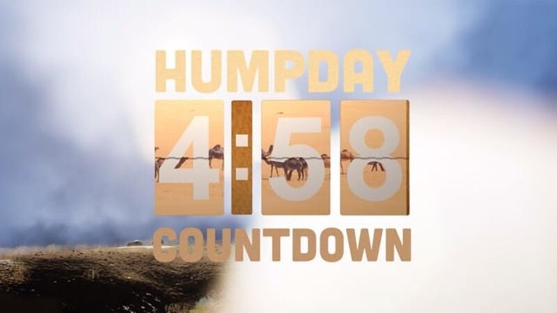 Hump Day Countdown