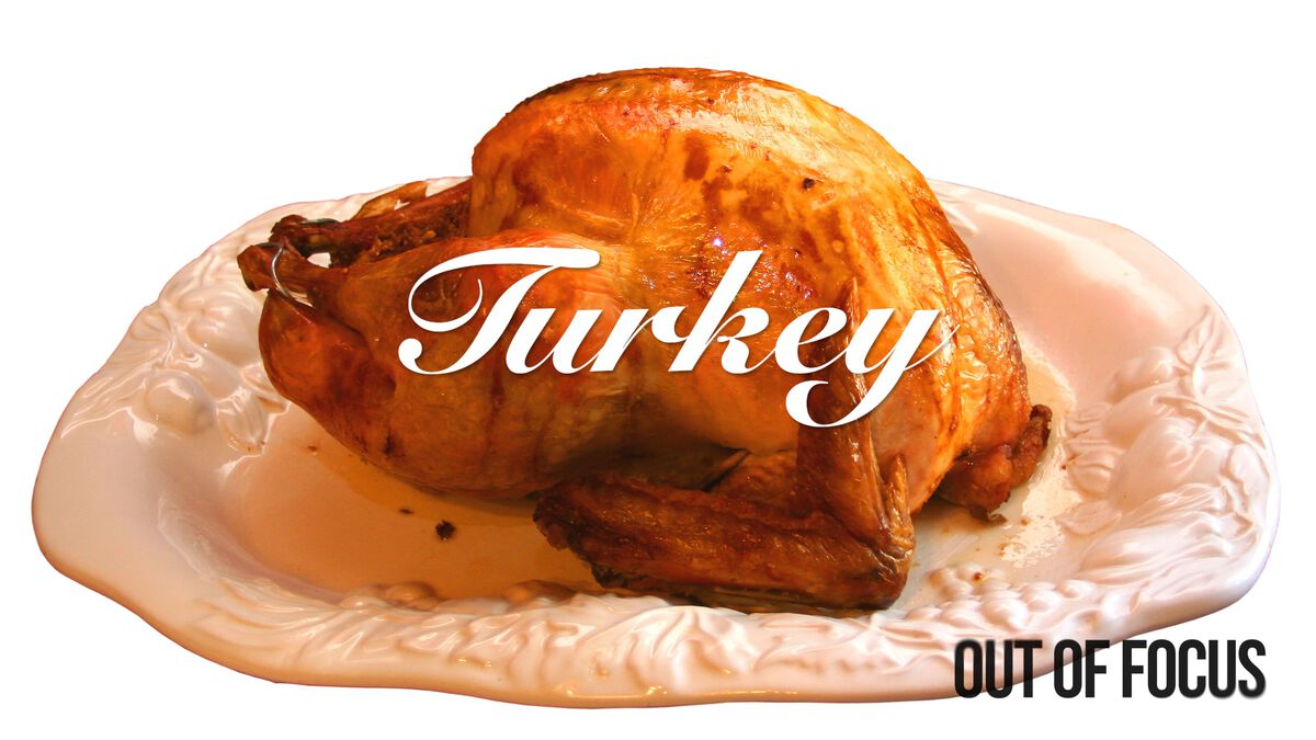 Out of Focus: Thanksgiving Edition image number null