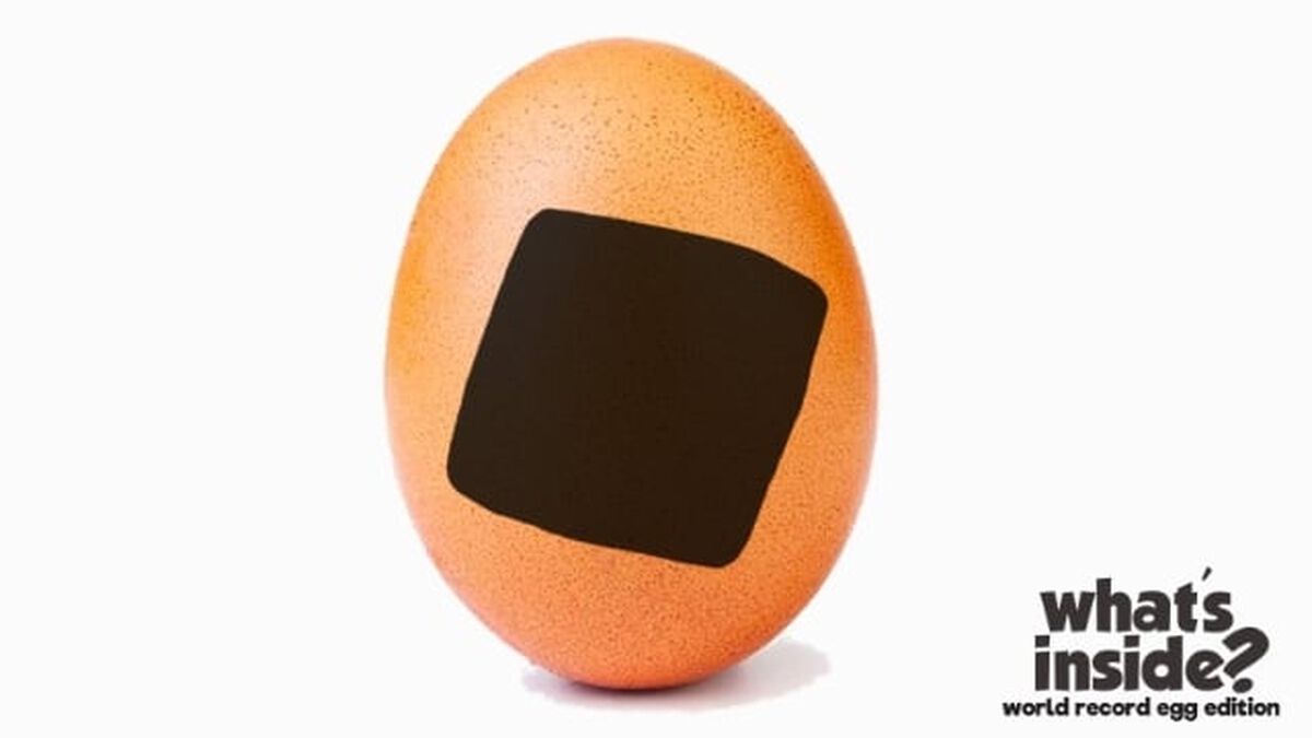What's Inside? World Record Egg Edition image number null