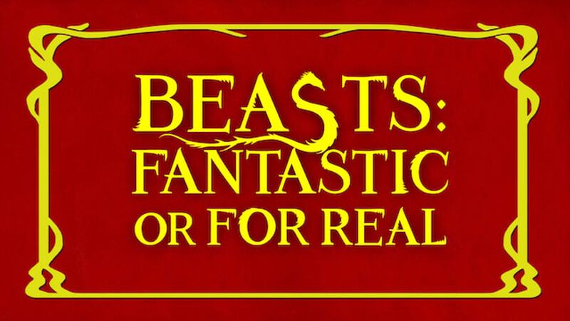 Beasts: Fantastic or for Real?