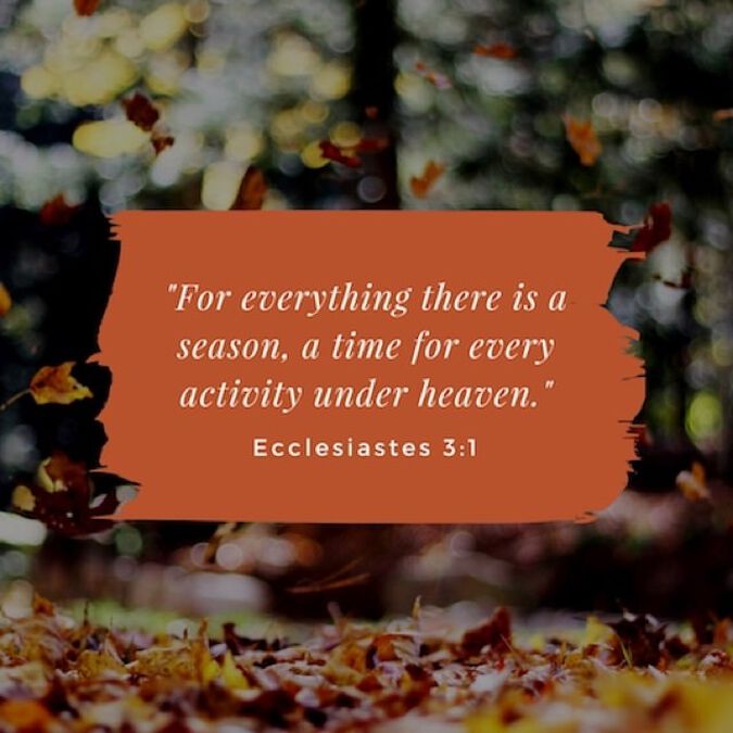 Fantastic Fall Insta Pack image number null