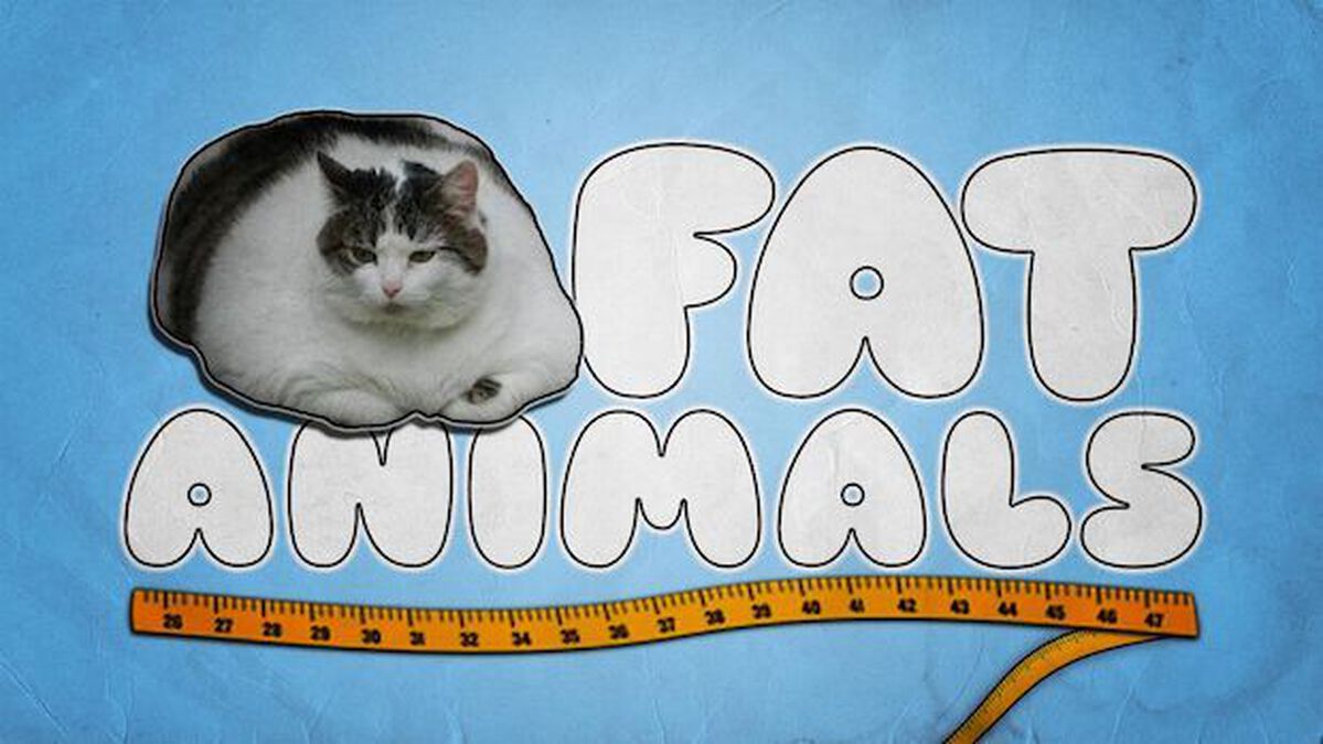 Fat Animals image number null