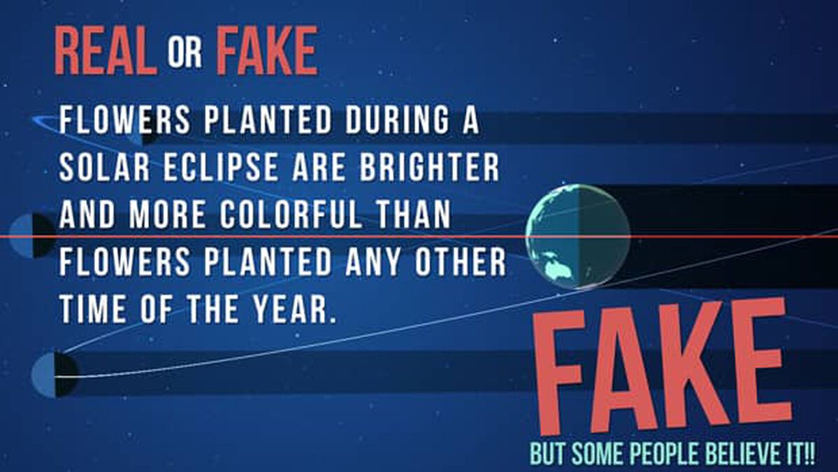Real or Fake: Solar Eclipse Edition image number null