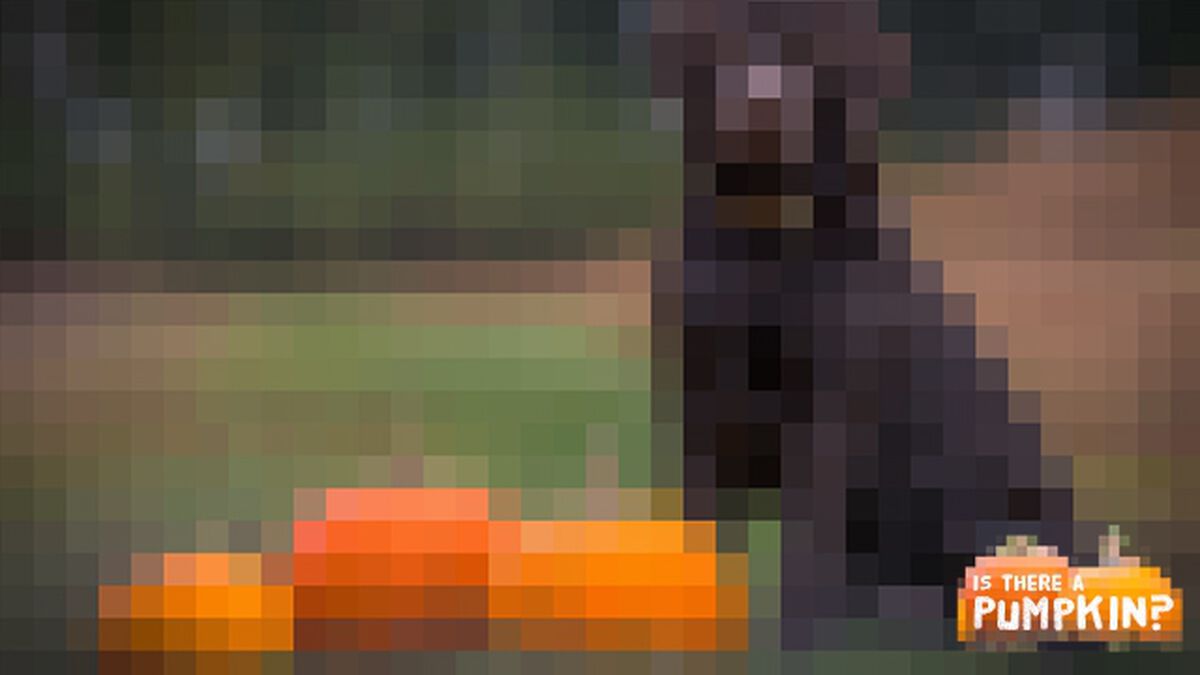 Is There a Pumpkin? image number null