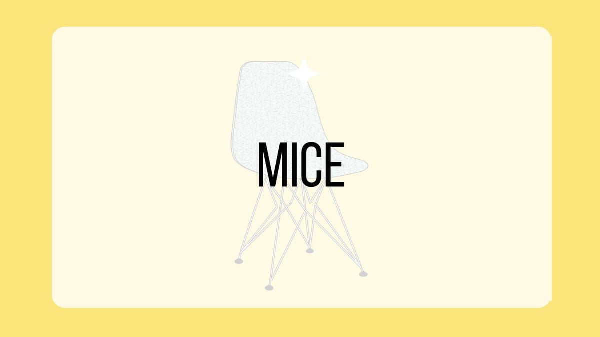 Chair Trivia image number null