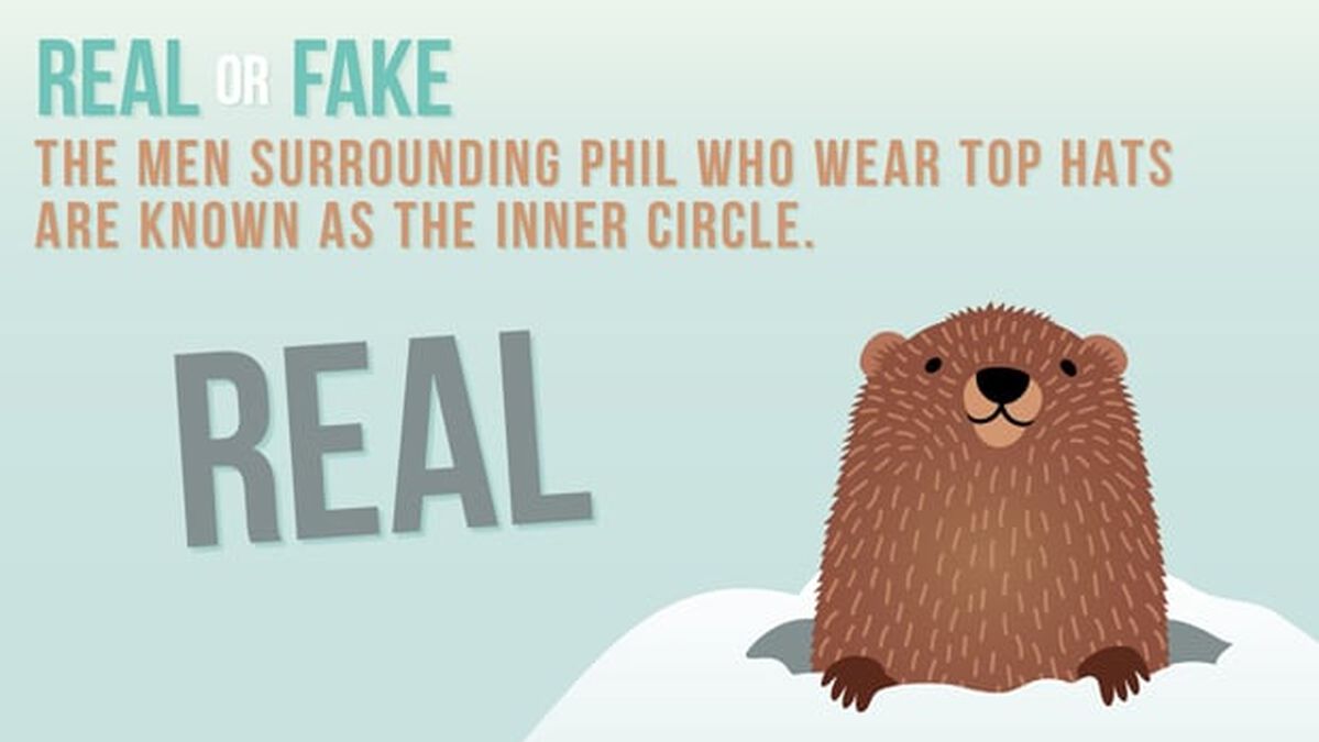 REAL OR FAKE: Groundhog Day Edition image number null