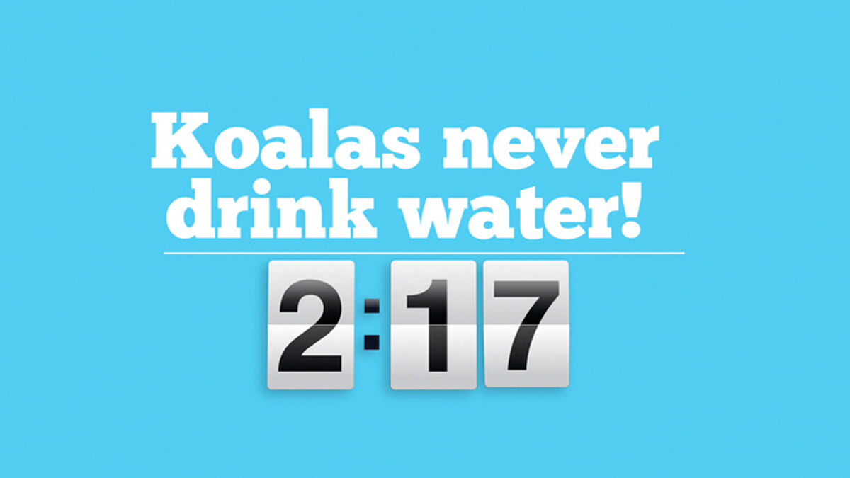 Useless Facts Countdown Video image number null
