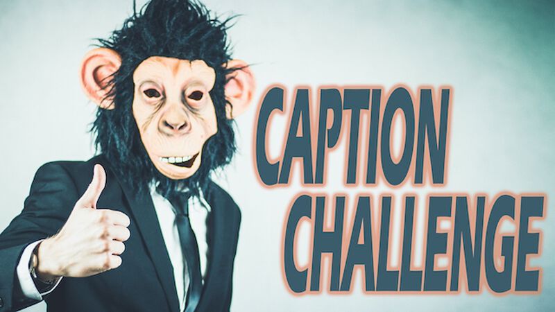 Caption Challenge Instagram and Zoom
