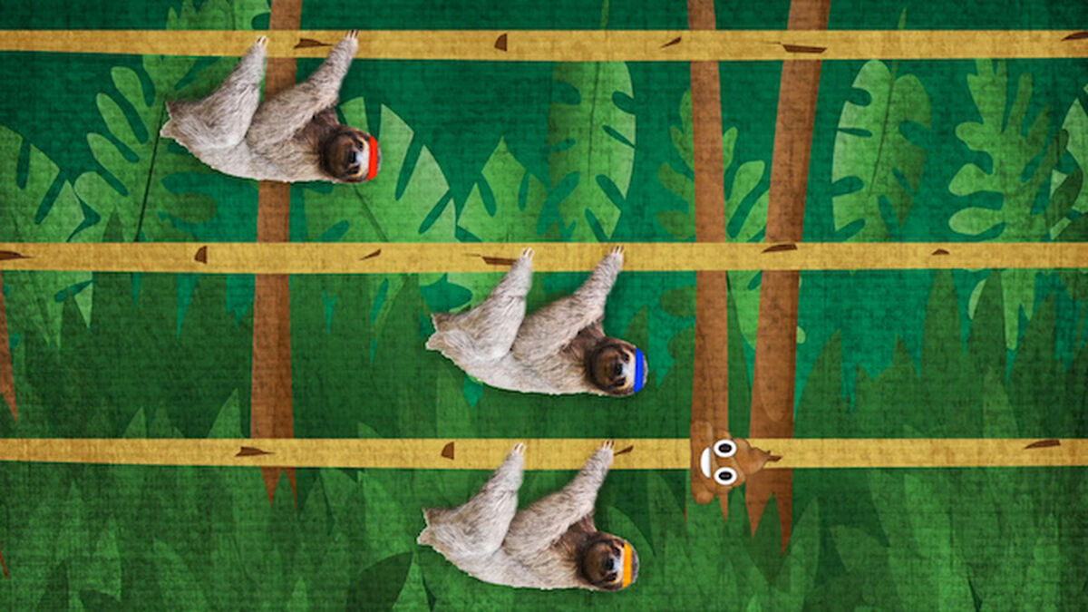 Sloth Race image number null