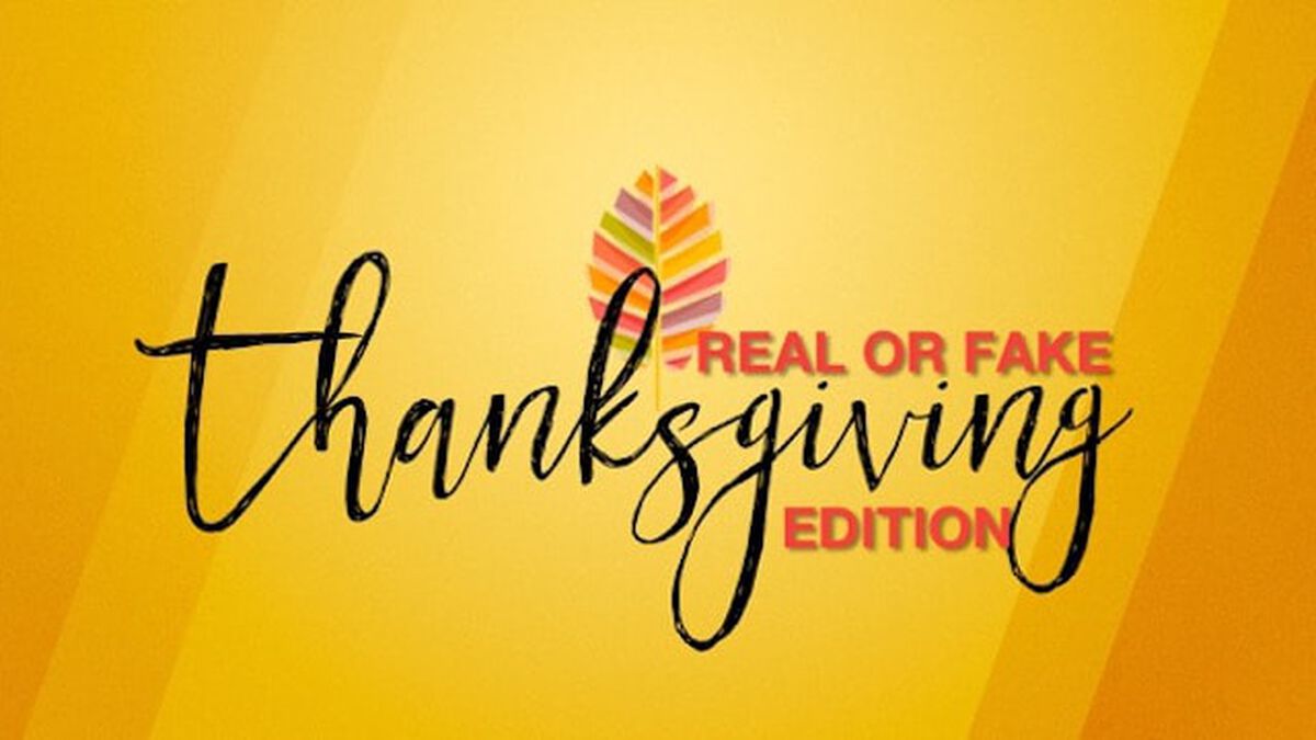 Real or Fake? Thanksgiving Edition: Volume 1 image number null