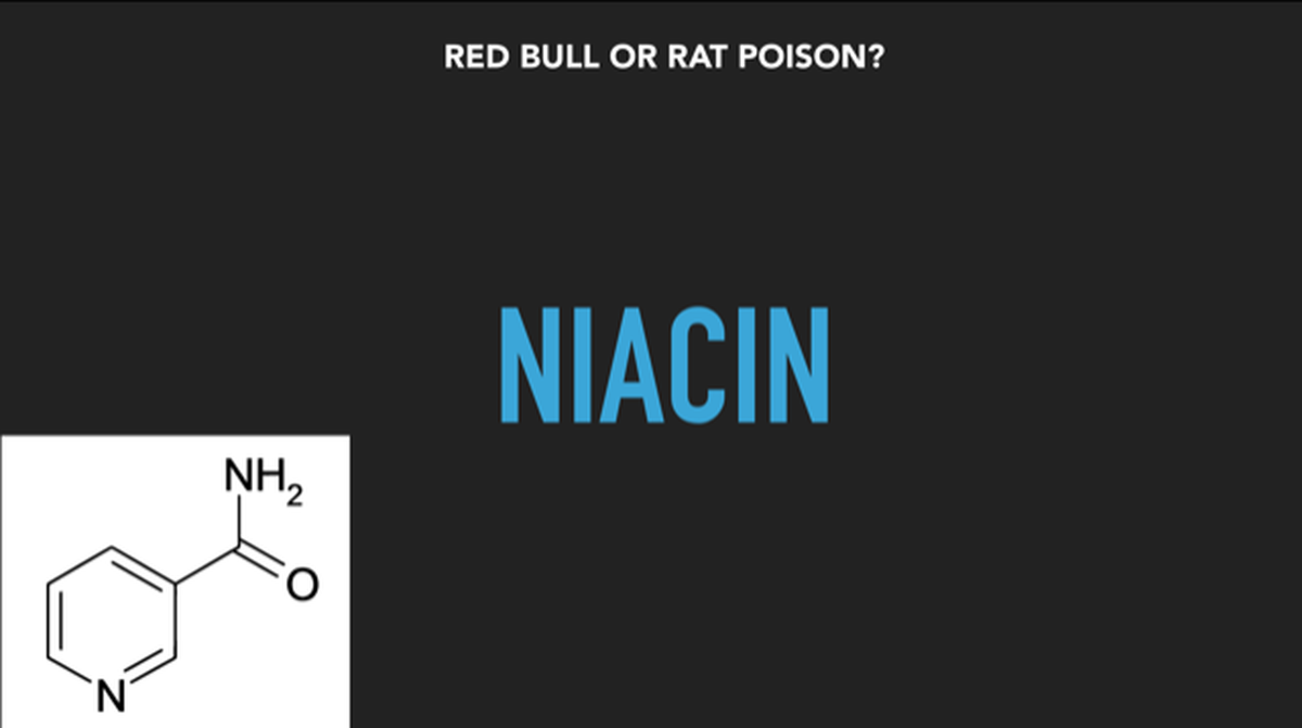 Red Bull or Rat Poison? image number null