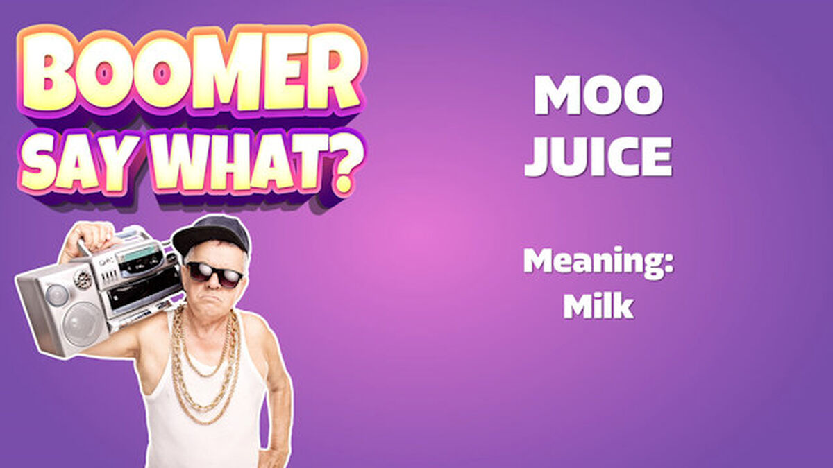 Boomer Say What: Volume 3 image number null