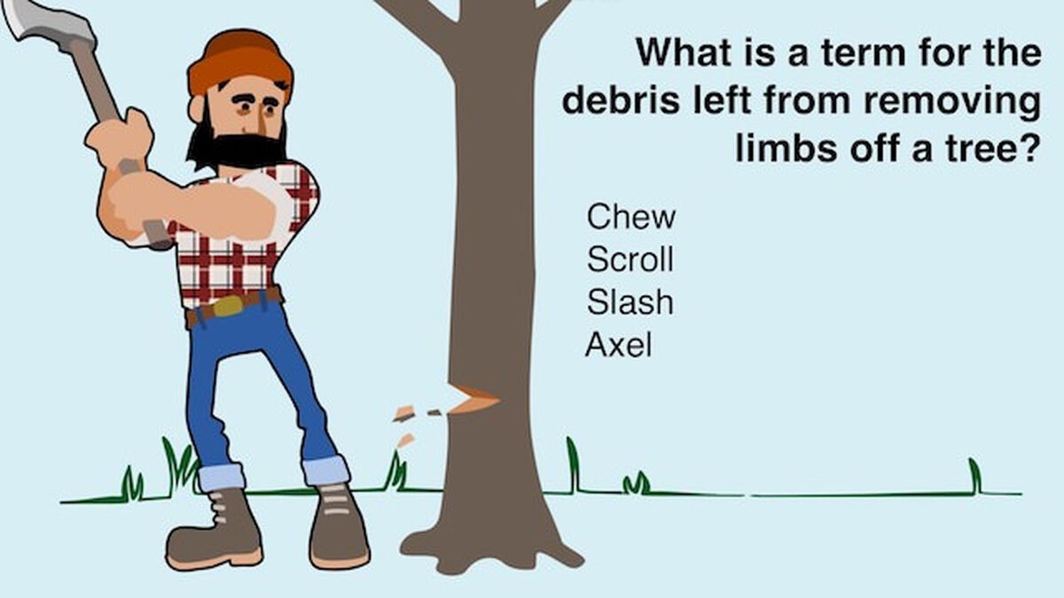 Lumberjack Trivia image number null