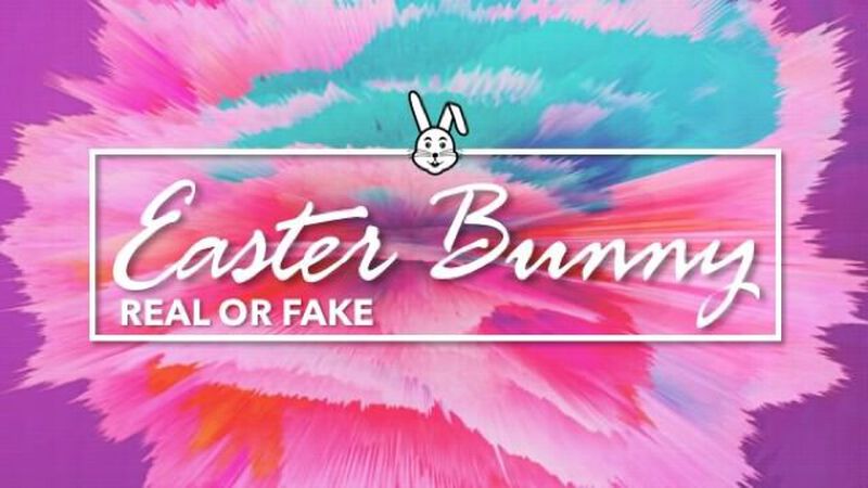 Real or Fake: Easter Bunny Edition